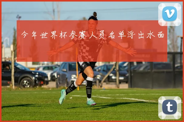 今年世界杯参赛人员名单浮出水面