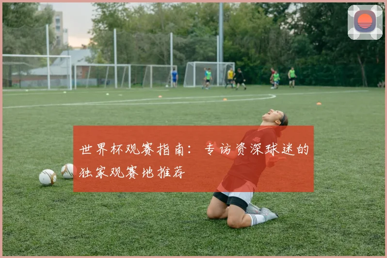 世界杯观赛指南:专访资深球迷的独家观赛地推荐