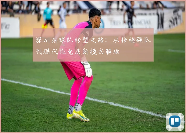 深圳排球队转型之路:从传统强队到现代化竞技新模式解读