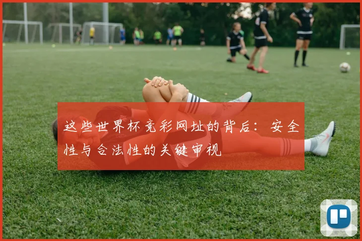 这些世界杯竞彩网址的背后:安全性与合法性的关键审视
