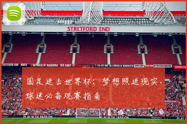国足进击世界杯:梦想照进现实,球迷必备观赛指南