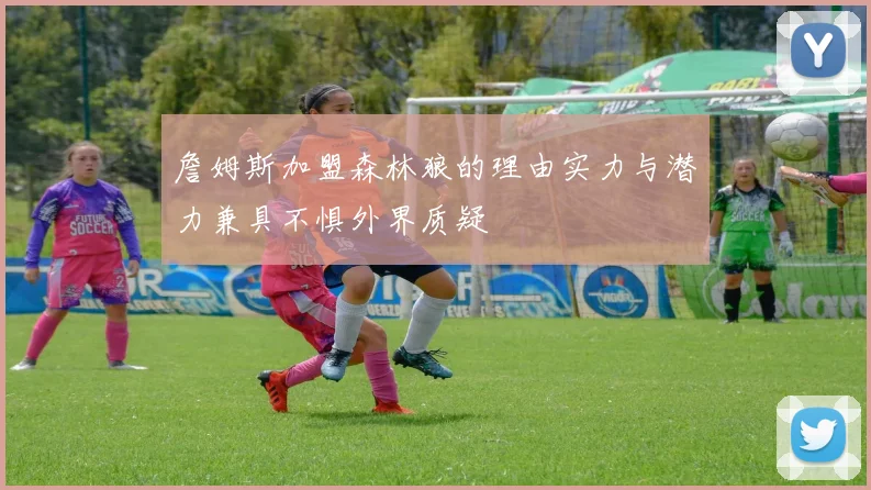 詹姆斯加盟森林狼的理由实力与潜力兼具不惧外界质疑