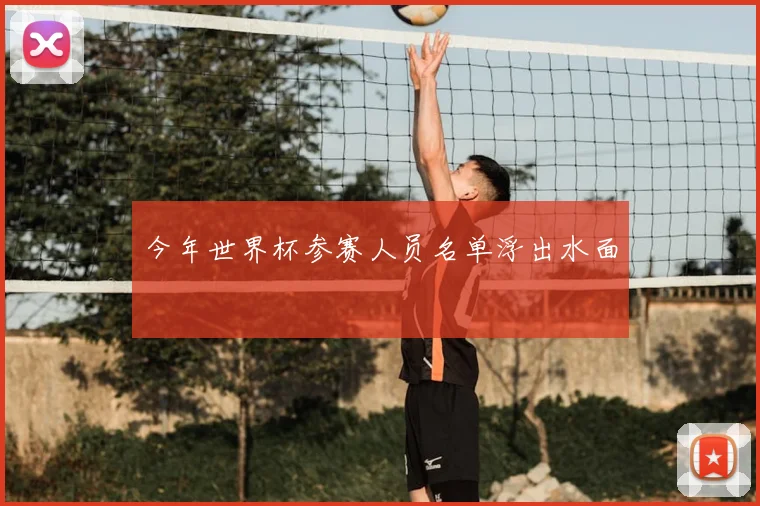今年世界杯参赛人员名单浮出水面