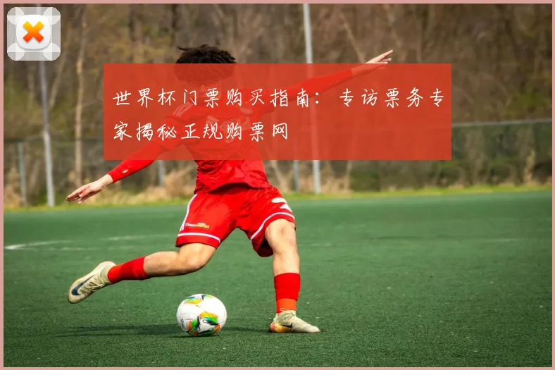世界杯门票购买指南：专访票务专家揭秘正规购票网