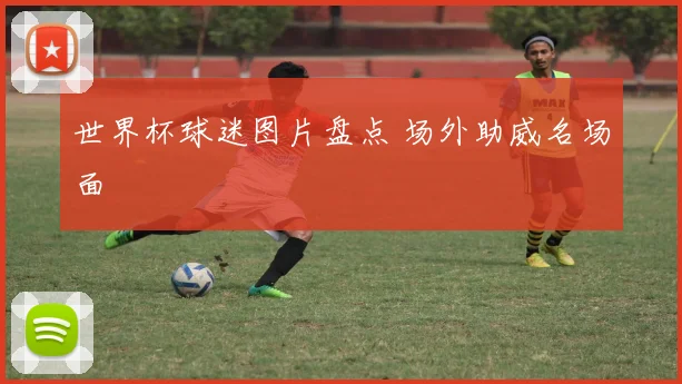 世界杯球迷图片盘点 场外助威名场面