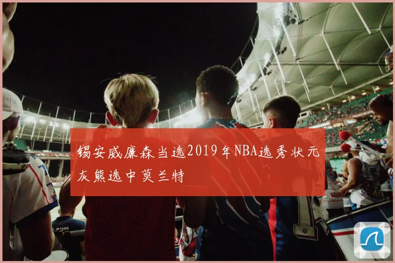 锡安威廉森当选2019年NBA选秀状元灰熊选中莫兰特