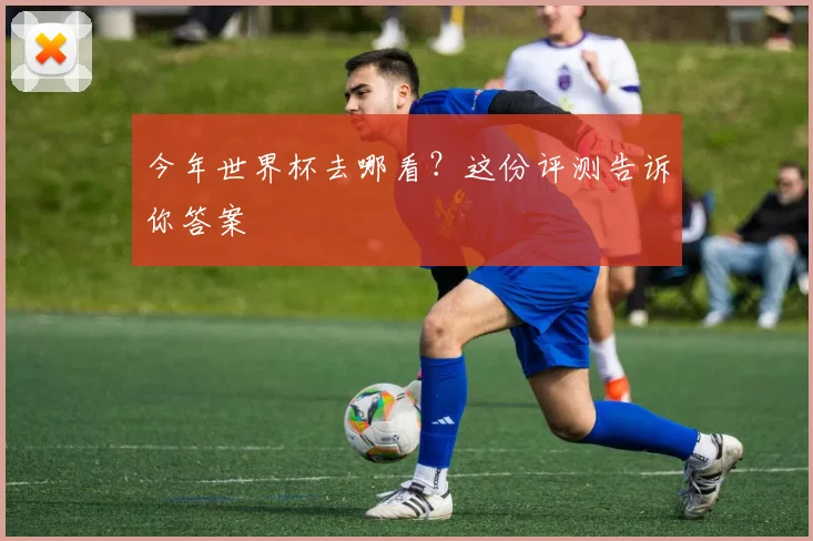 今年世界杯去哪看?这份评测告诉你答案