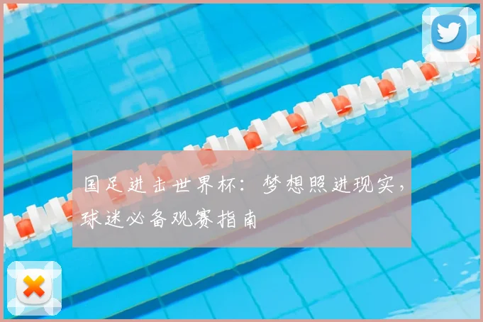 国足进击世界杯:梦想照进现实,球迷必备观赛指南