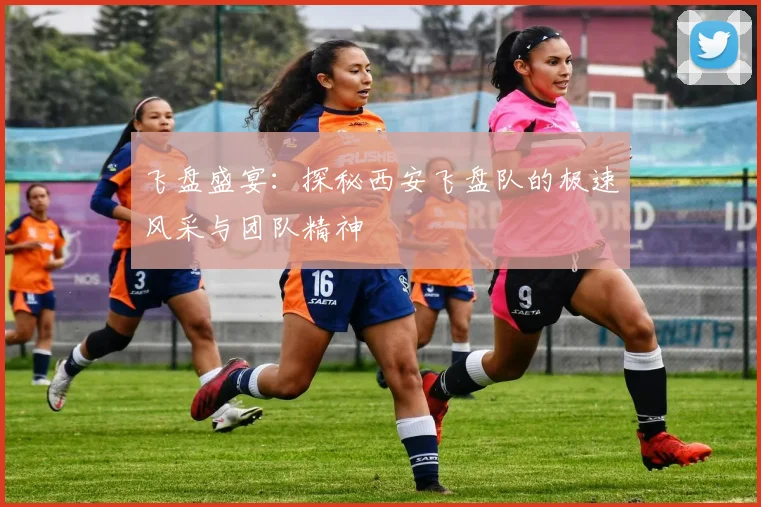 飞盘盛宴:探秘西安飞盘队的极速风采与团队精神