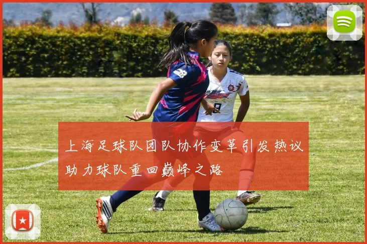 上海足球队团队协作变革引发热议助力球队重回巅峰之路